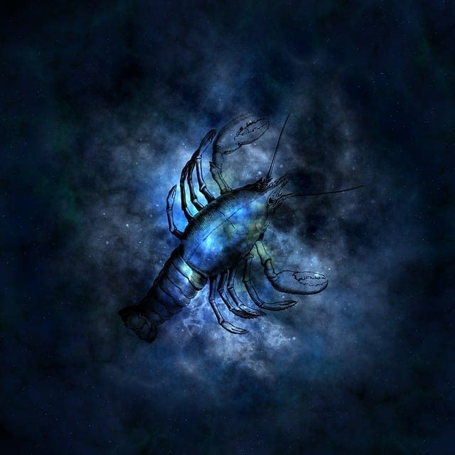 Cancer demain horoscope101.com