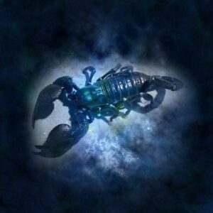 Sitemapcdatahttpsshopinf Inetcomhoroscope Scorpion Demain Asiaflash